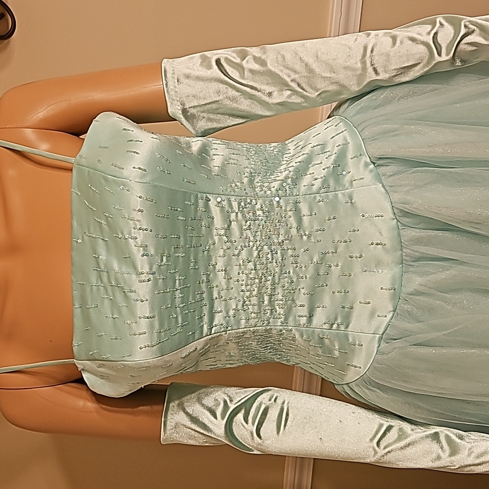 Prom Dress - Picture 4 of 8